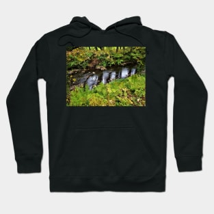 Forest Creek 01 Hoodie